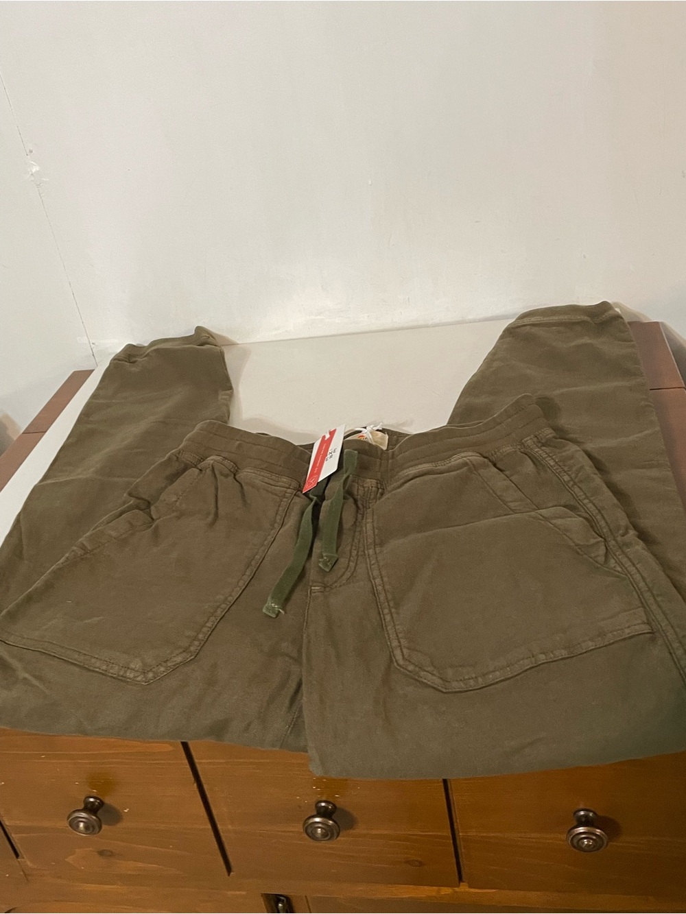 Marine Layer Joggers in Olive NWT
